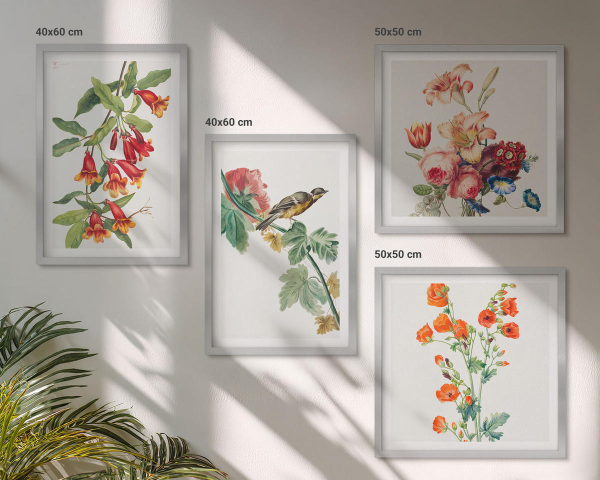 BILDER SET 4er Set - 50x50 cm & 40x60 cm Silberner Rahmen - Gemalte Blumen, Retro-Vogel - Silberfarben, Kunststoff (50/50cm) - TULUP