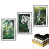 WANDBILDER 3er Set - 40x60 cm Silberner Rahmen - Dschungeltigerwasserfall - Silberfarben, Kunststoff (40/60cm) - ArtPrintCave