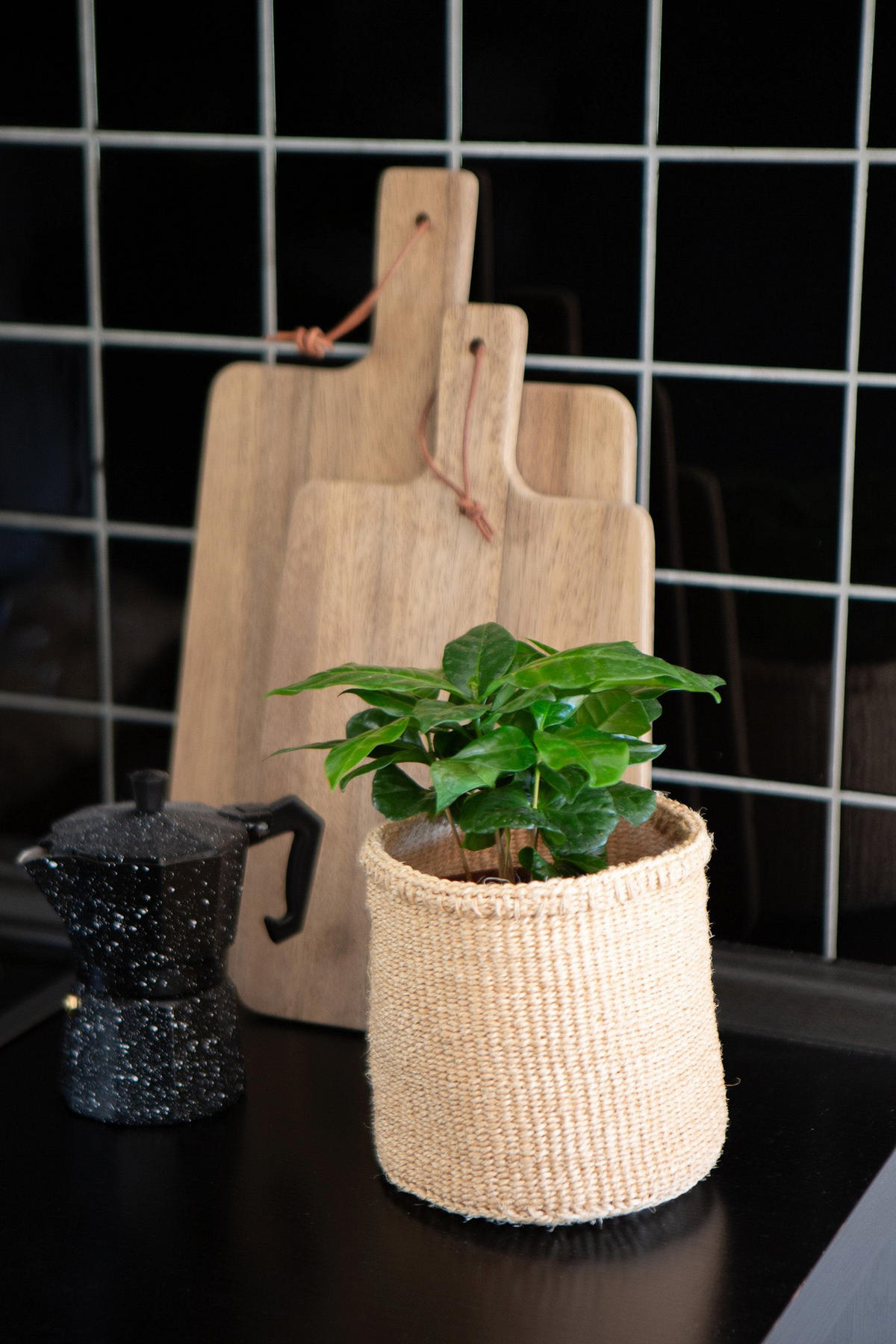KORBSET 3-teilig Elani in Natur aus Sisal - Naturfarben, Naturmaterialien (14/14/14cm) - LaLe Living