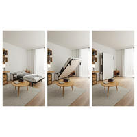 SCHRANKBETT Morphy Studio Modulares SizeFlex- und TypeFlex-System - 120x190, Vertikal - Schwarz, Metall (120/190cm) - WallBedKing