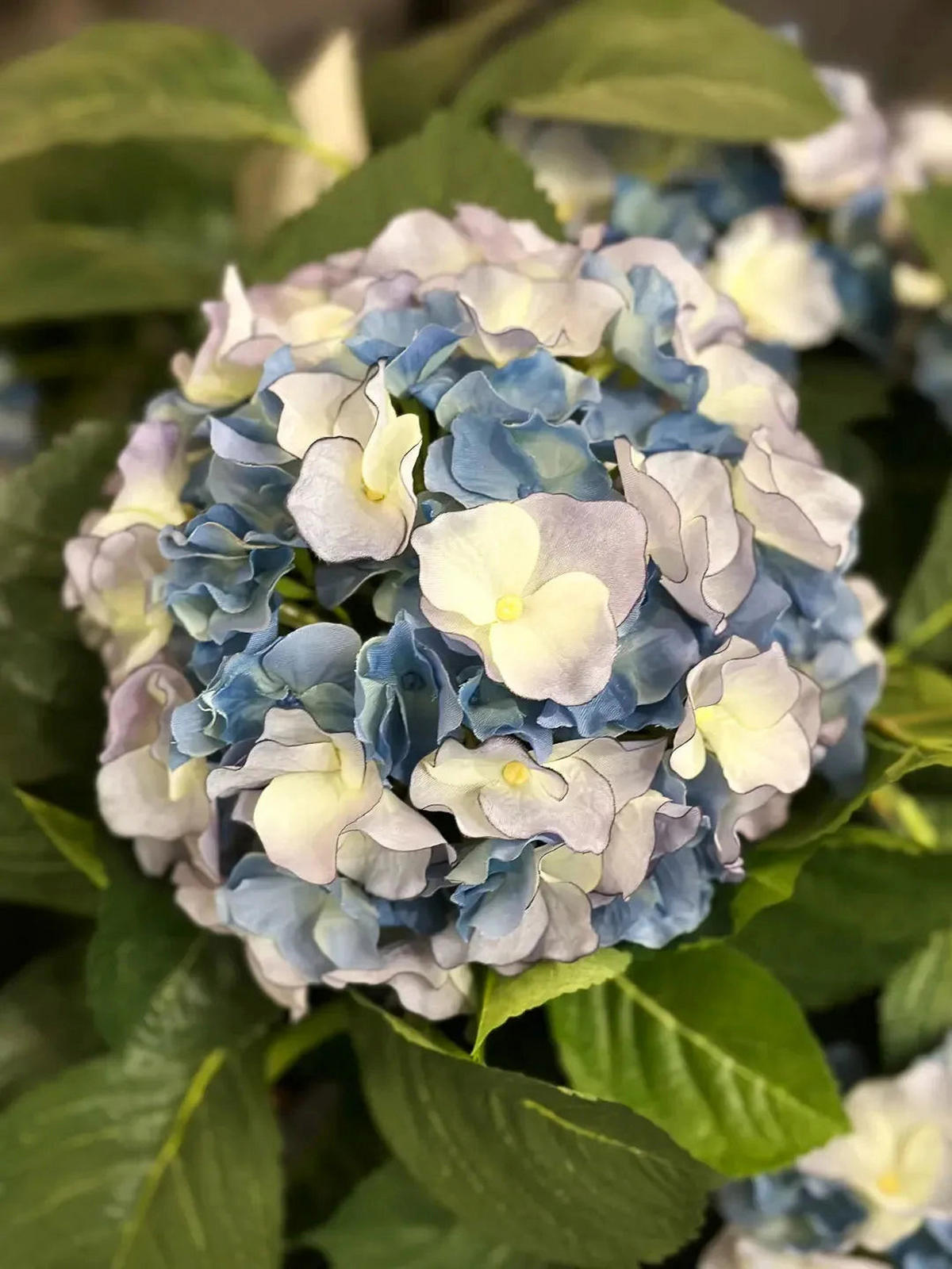 HORTENSIEN Künstliche Hortensie - Naomi 53 cm - Blau, Kunststoff (53cm) - aplanta