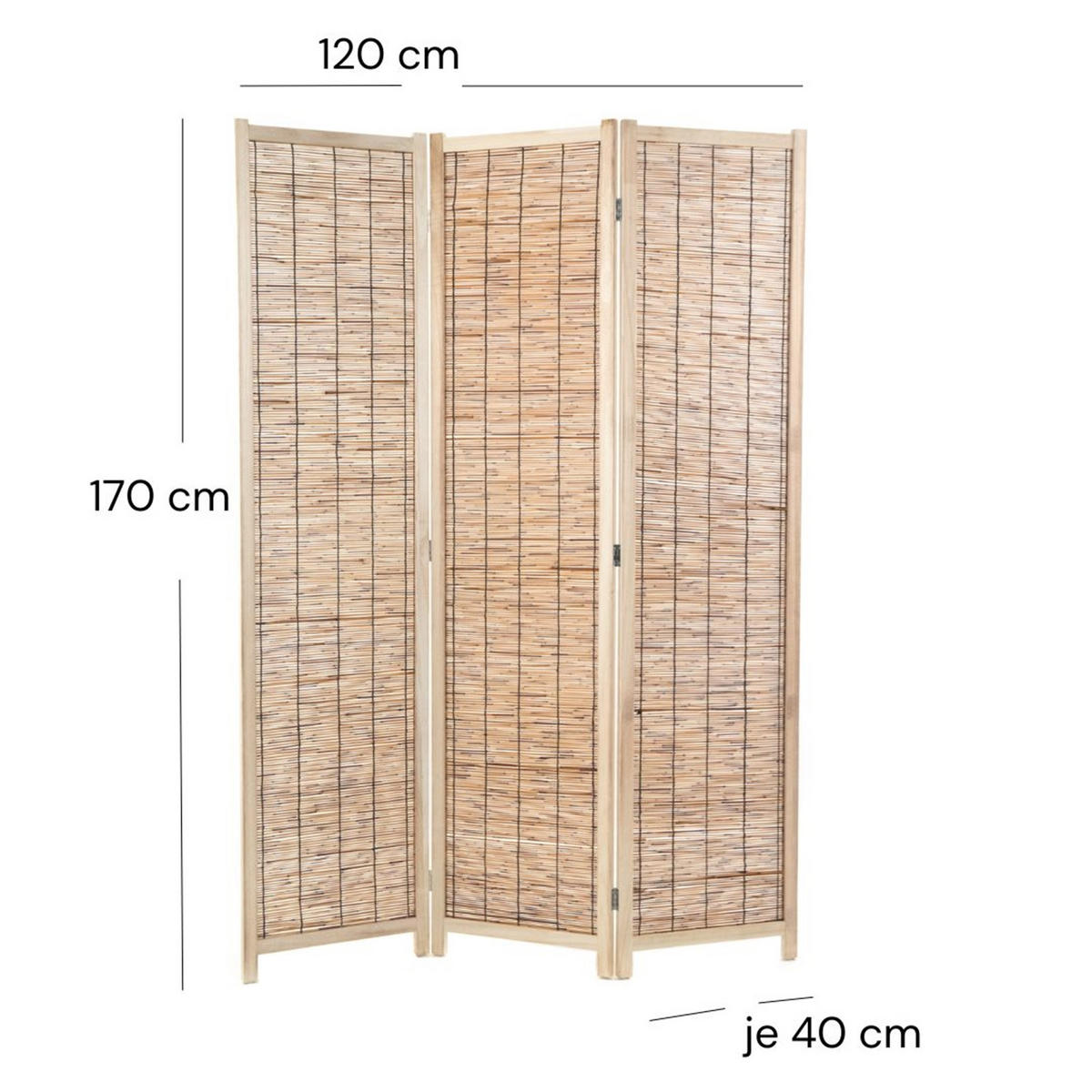RAUMTEILER Playa 3-tlg. Schilfrohr Holz braun - Braun, Holz (120/170/3cm) - DESIGN DELIGHTS