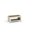 COUCHTISCH Mossa Kaschmir, mit Gold Beine - Beige/Goldfarben, Holzwerkstoff (56/97/47cm) - Bettso