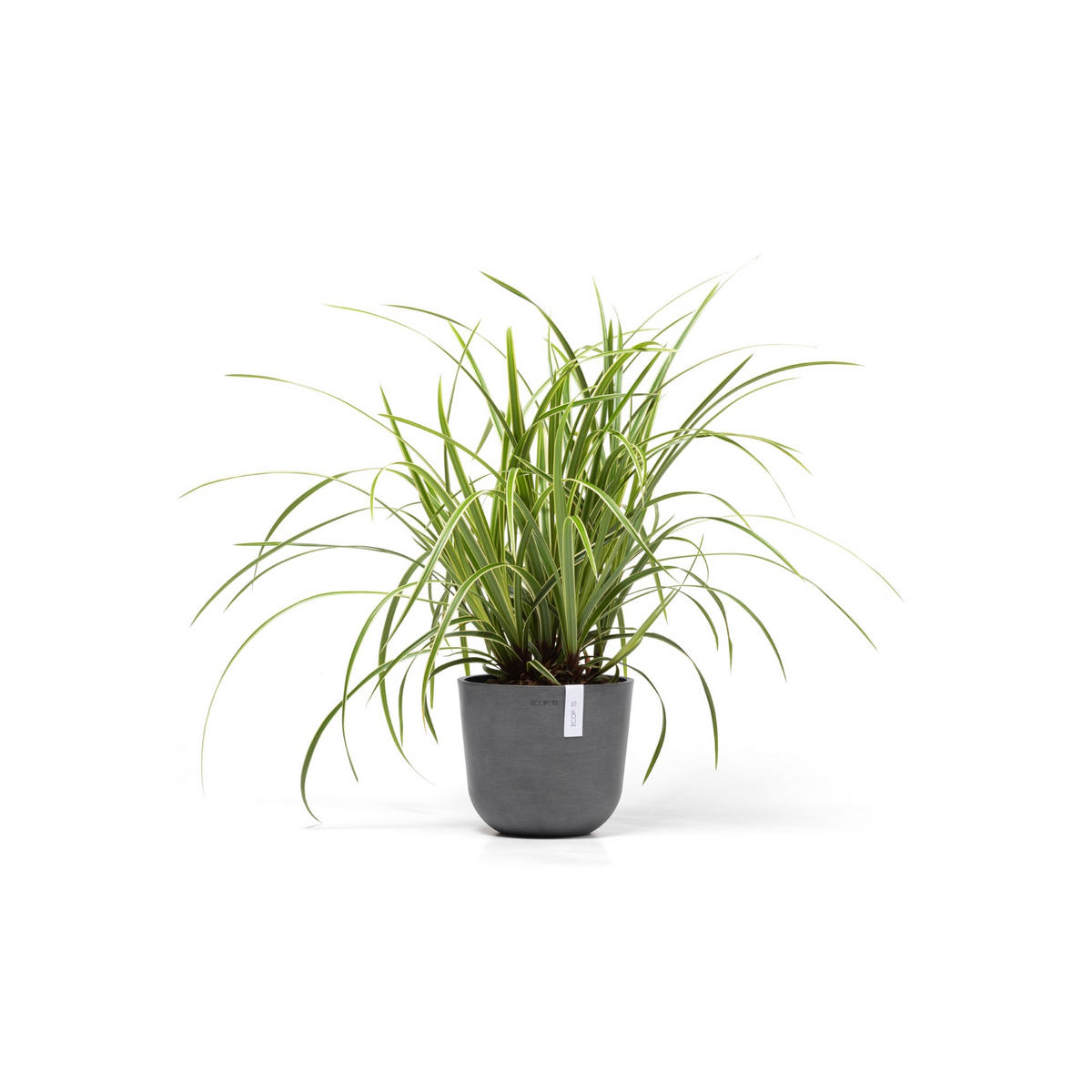 BLUMENTOPF Oslo Mini 19/16,5 cm Grau - Grau, Kunststoff (19/16.5cm) - Ecopots