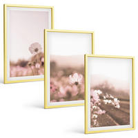 BILDER SET 3er Set - 40x60 cm Goldrahmen - Sommerlandschaften mit Wildblumenwiesen - Goldfarben, Kunststoff (40/60cm) - TULUP