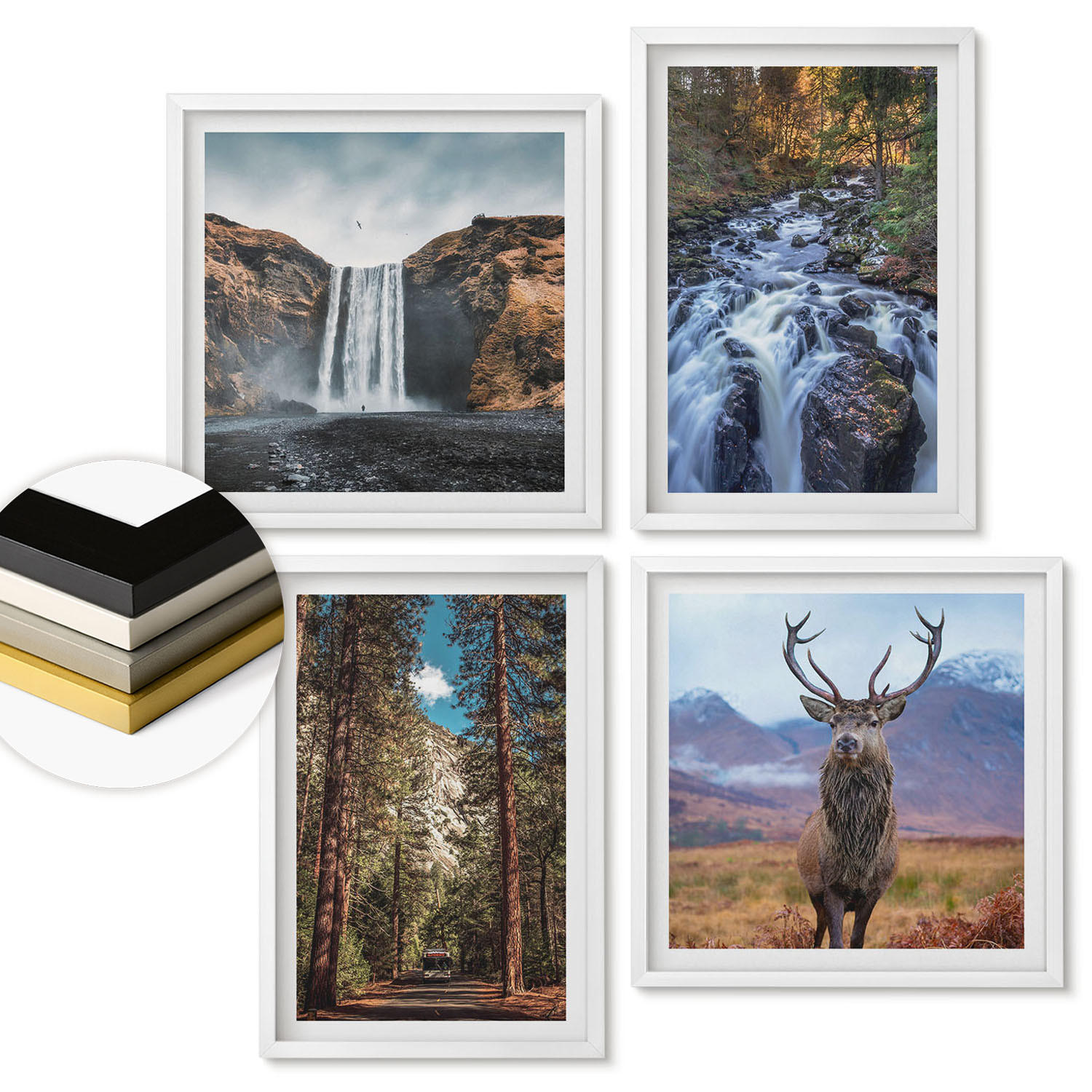 WANDBILDER 4er-Set - 50x50 cm & 40x60 cm Weißer Rahmen - Wasserfall Wald Berge Hirsch Natur - Weiß, Kunststoff (50/50cm) - ArtPrintCave