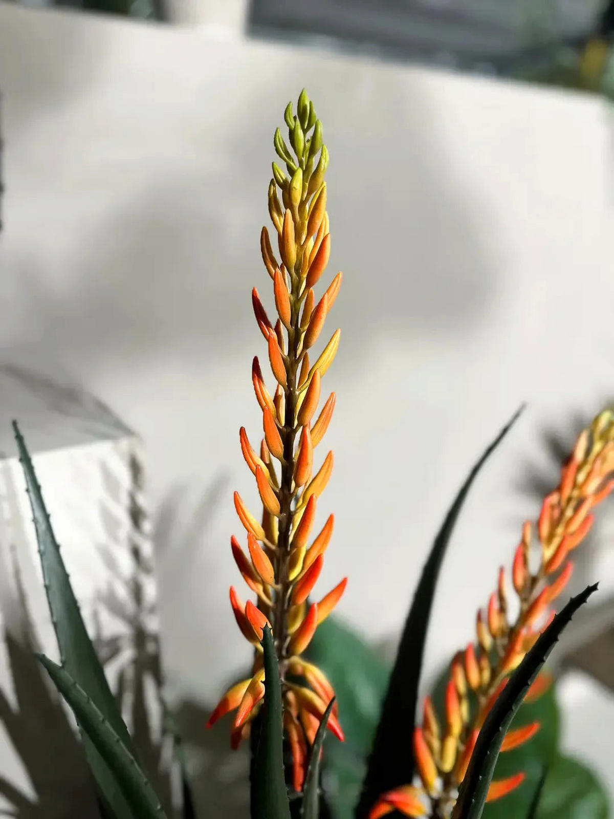KUNSTPFLANZE Künstliche Aloe - Paulina 80 cm - Grün, Kunststoff (80cm) - Emerald