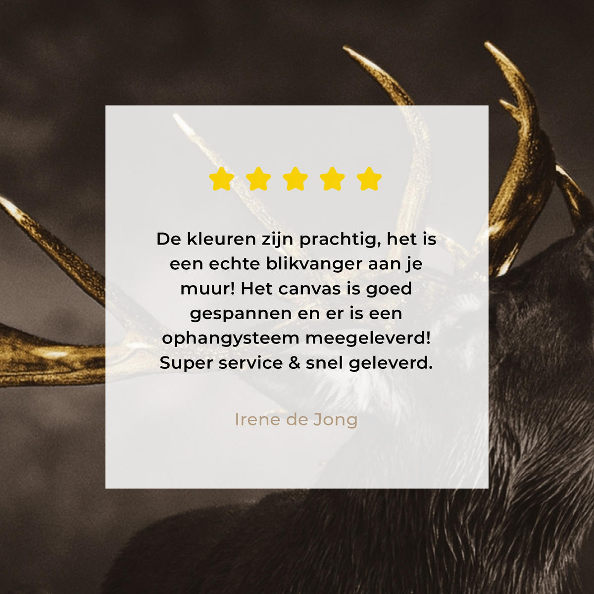 LEINWANDBILD Rotwild - Schwarz - Gold Room Decor 30x40 cm - Braun, Textil (30/40cm) - MuchoWow