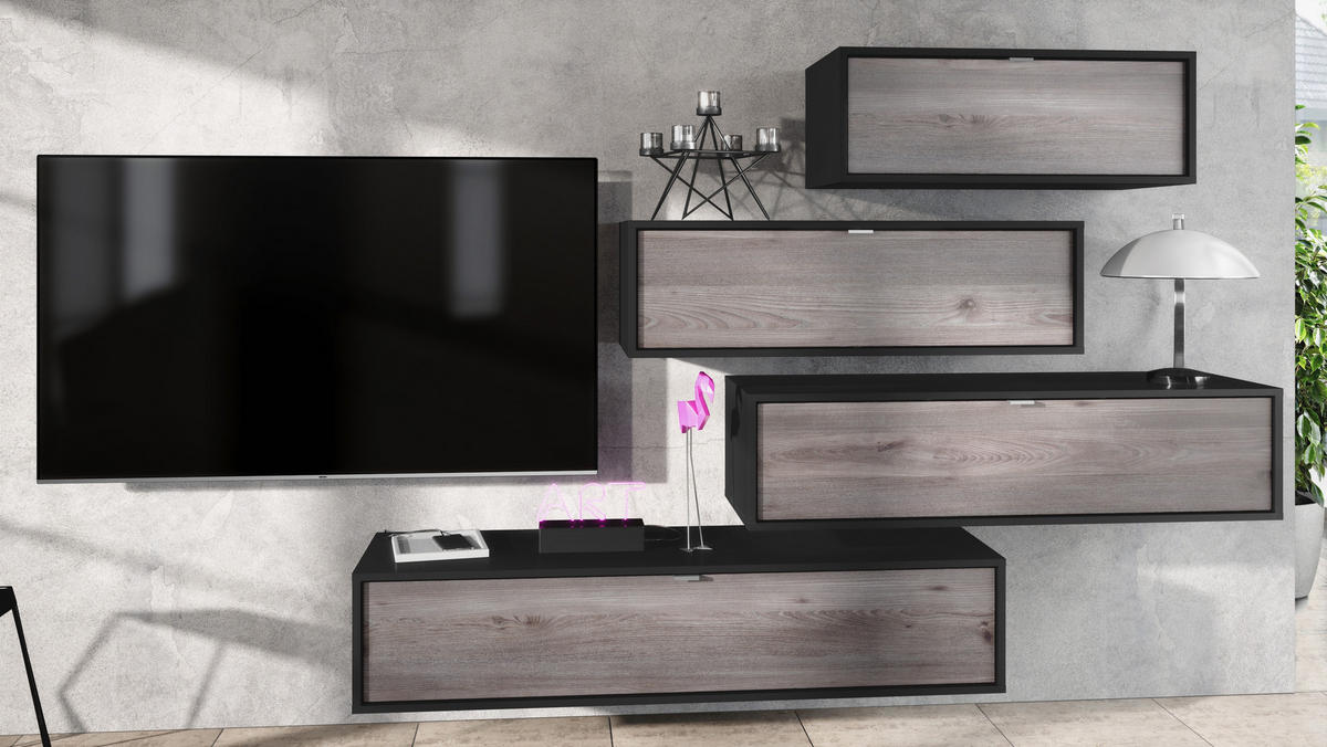 WOHNWAND Lana Fronten in Eiche Nordic - Silbereichenfarben, Holzwerkstoff (210/170/37cm) - Vladon