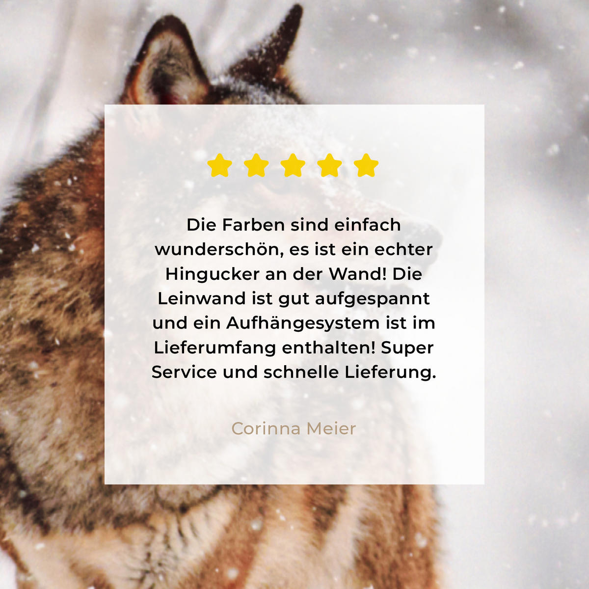 LEINWANDBILD Wolf - Winter - Schnee - Natur - Tiere 60x90 cm - Haselnussfarben, Textil (60/90cm) - MuchoWow