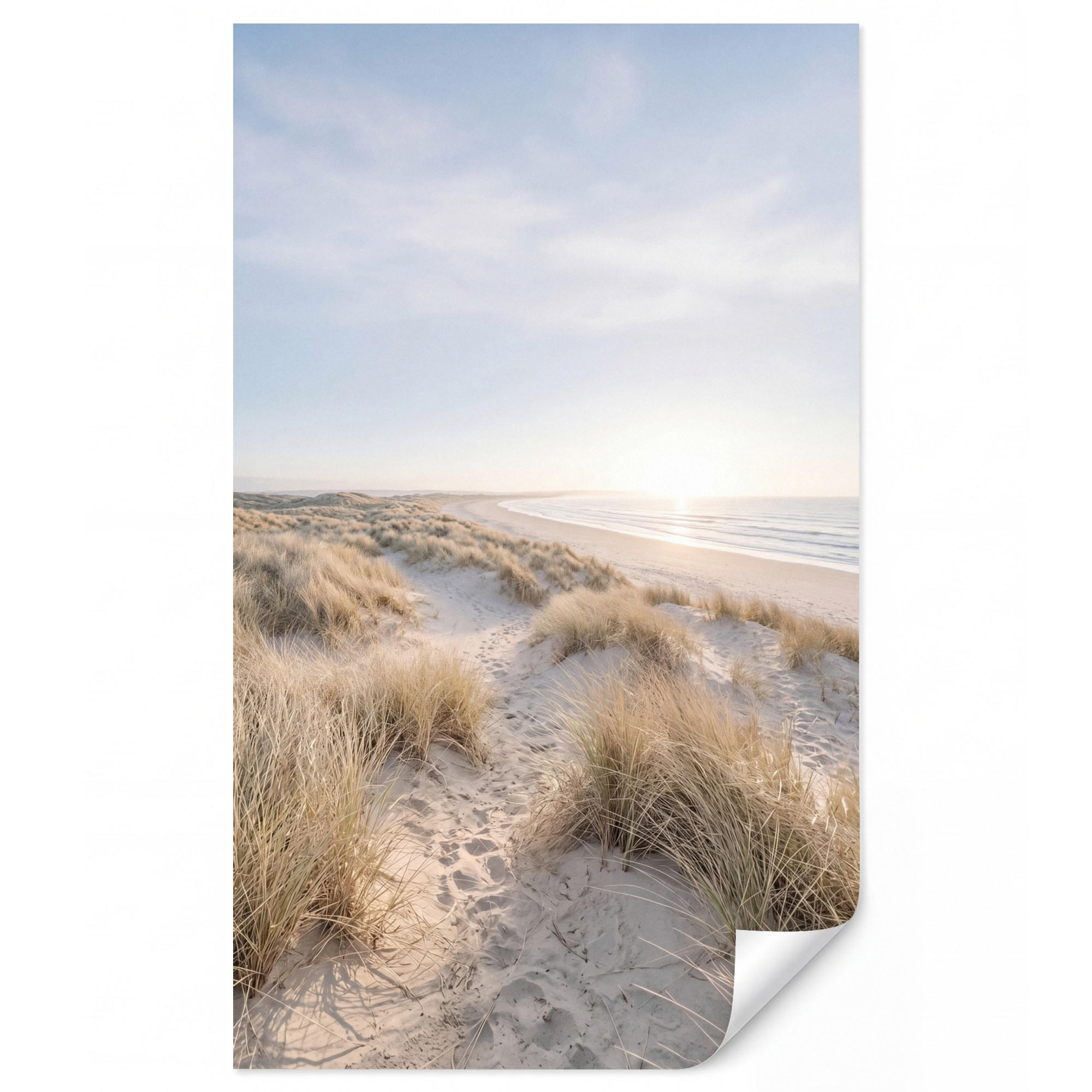 OnlyWow Tapete Sand 160x280 cm