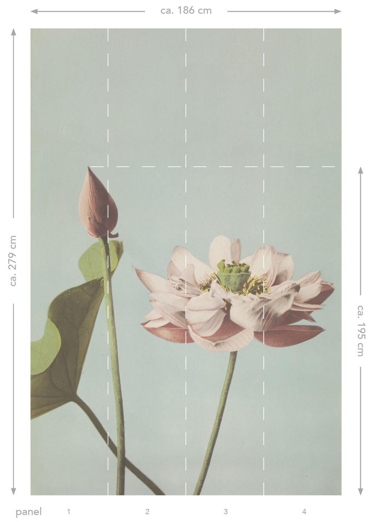 FOTOTAPETE Lotusblume 186 x 279 cm - Türkis, Papier (186/279cm) - ESTAhome