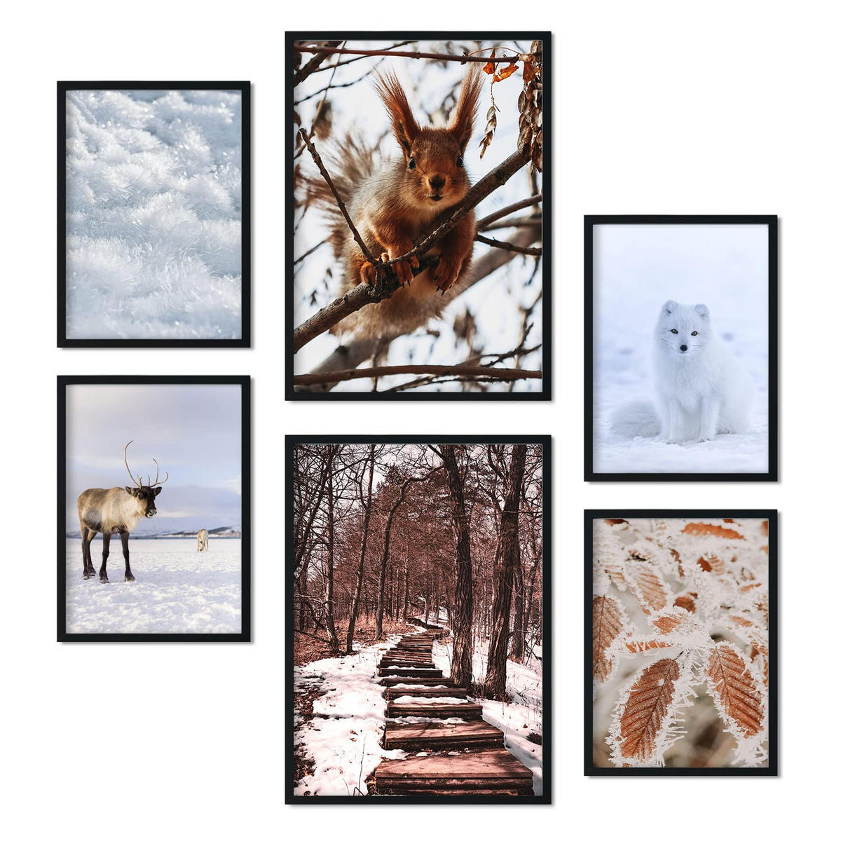 POSTER Set Mit 6 Tiere Im Schnee A3 & A4 Rahmenlos - Klar, Papier (29/3cm) - Nacnic