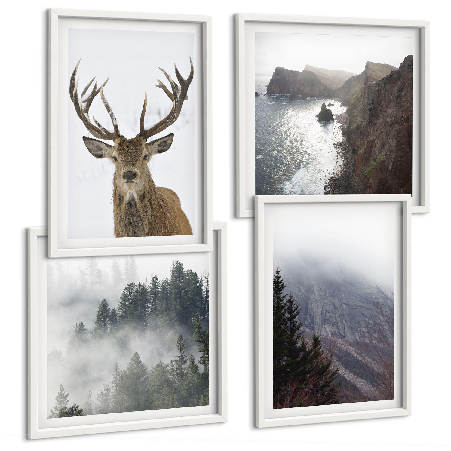 BILDER SET 4er Set - 50x50 cm & 40x60 cm Weißer Rahmen - Berglandschaft Nebel Hirsch - Weiß, Kunststoff (50/50cm) - TULUP