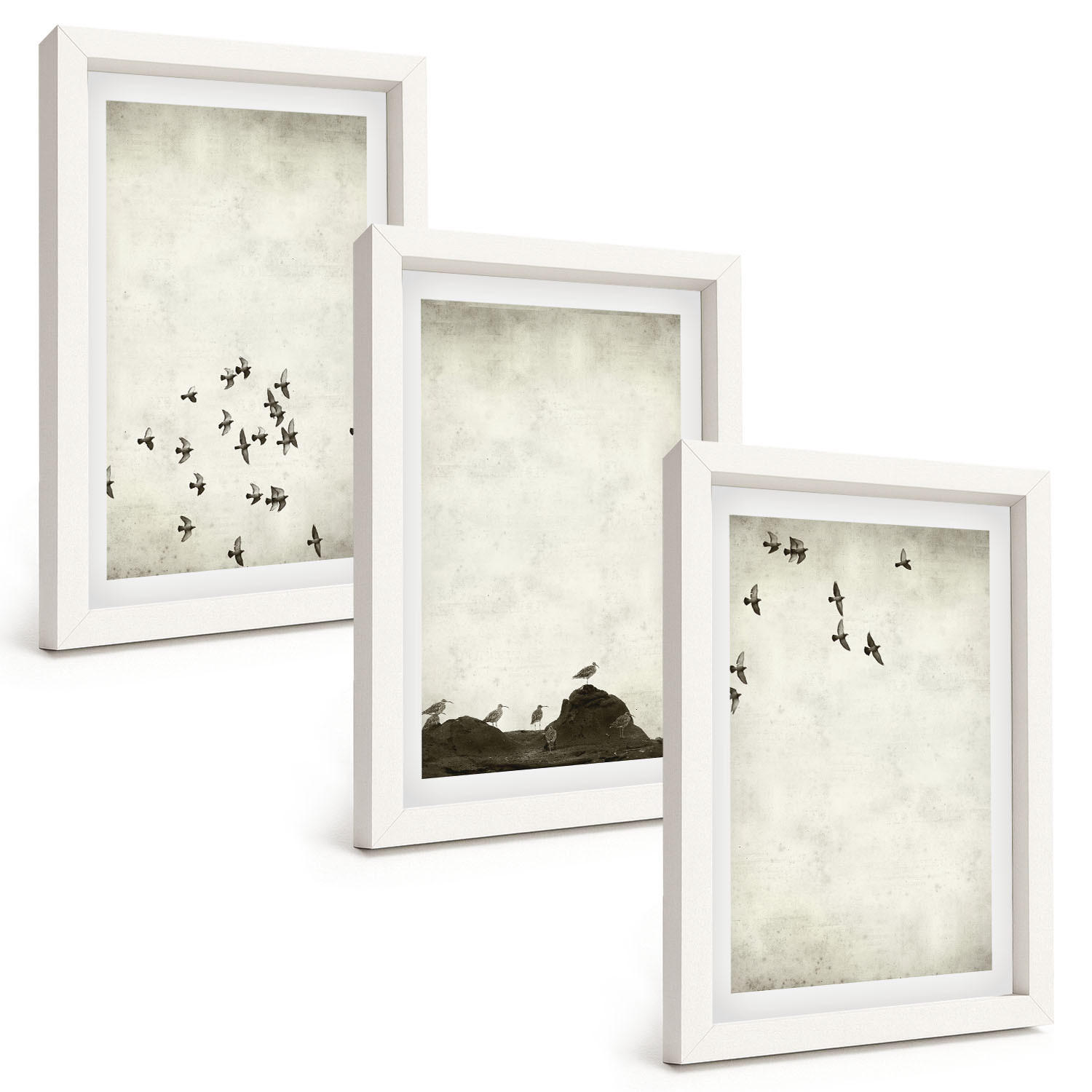 BILDER SET 3er Set - 20x30 cm Weißer Rahmen - Vögel im Flug, minimalistischer Stil - Weiß, Kunststoff (20/30cm) - TULUP