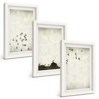 BILDER SET 3er Set - 20x30 cm Weißer Rahmen - Vögel im Flug, minimalistischer Stil - Weiß, Kunststoff (20/30cm) - TULUP
