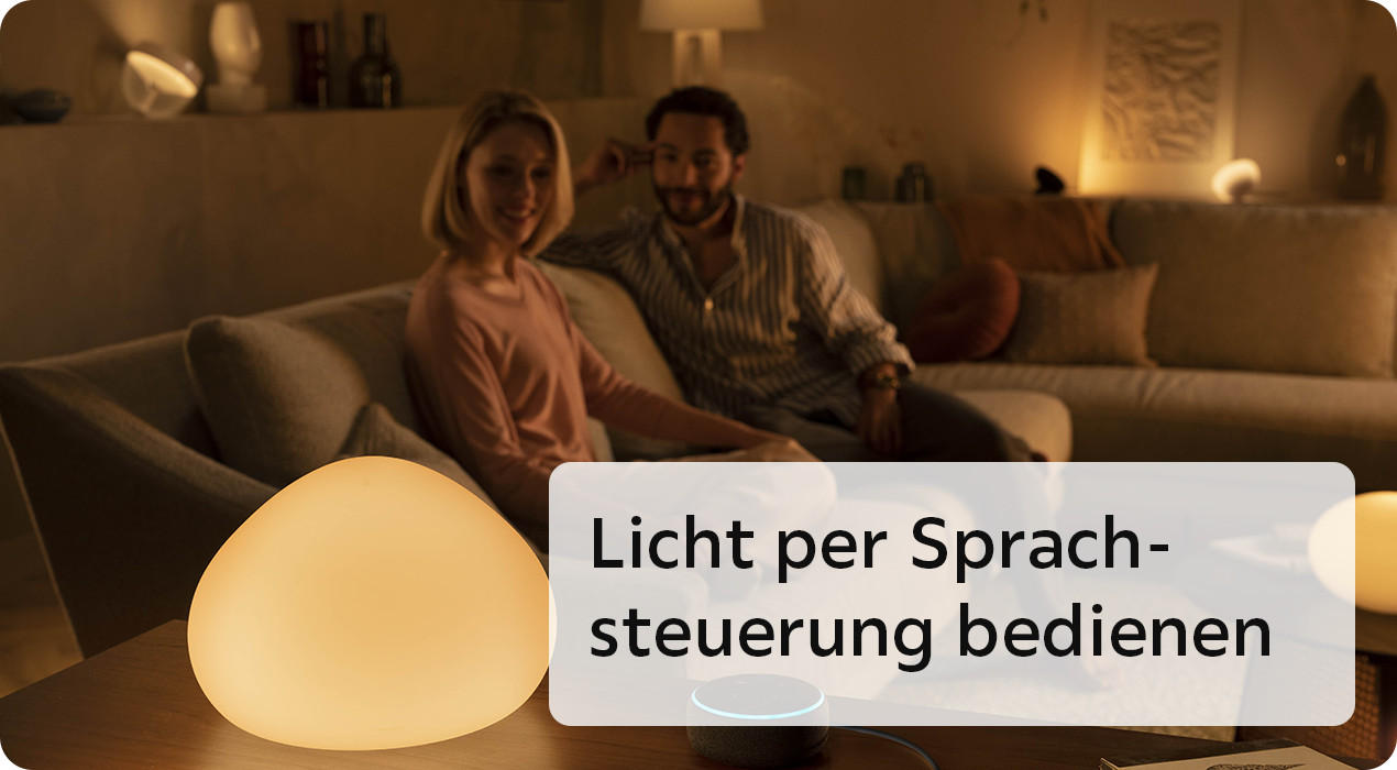 Licht per Sprachsteuerung bedienen