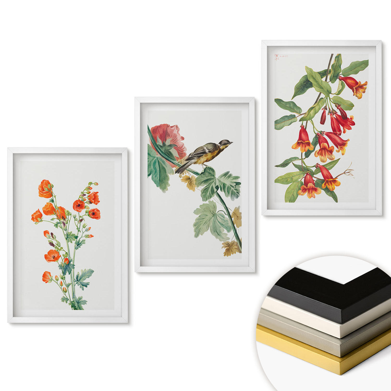 WANDBILDER 3er-Set - 40x60 cm Weißer Rahmen - Gemalte Blumen und ein Vogel - Weiß, Kunststoff (40/60cm) - ArtPrintCave