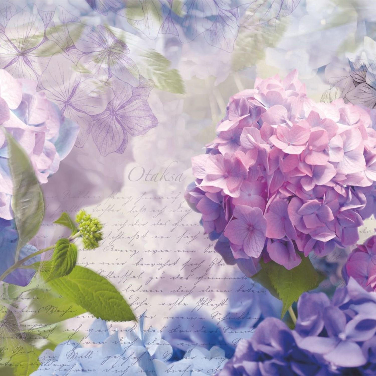FOTOTAPETE Blumen 368 x 254 cm - Lila, Papier (368/254cm) - Sanders & Sanders