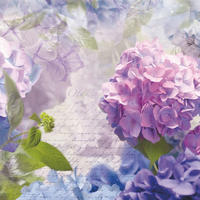 FOTOTAPETE Blumen 368 x 254 cm - Lila, Papier (368/254cm) - Sanders & Sanders
