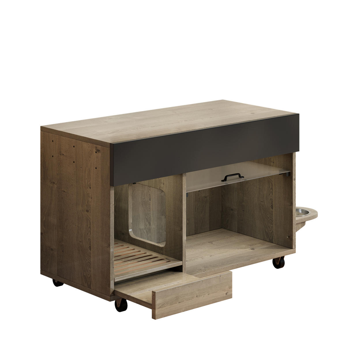 SIDEBOARD Katzentoiletten-Schrank mit versteckter Acryl Tür und Stauraum, MDF Holzoptik kompakt - Transparent/Eichefarben, Holzwerkstoff/Kunststoff (100/67/45.5cm) - EVRYAE