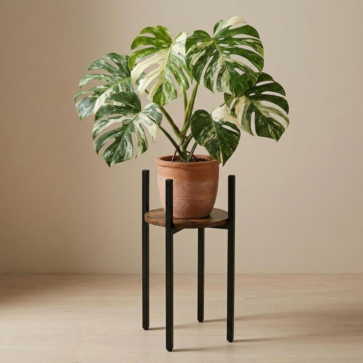 BLUMENSTÄNDER Lum 32/60 cm - Braun, Holzwerkstoff (32/60/32cm) - EDAXO