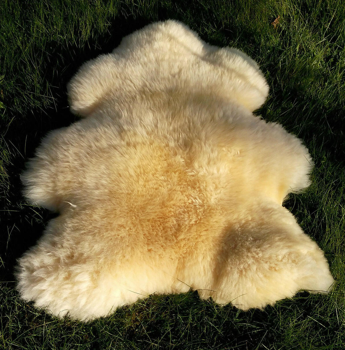 TEPPICH Baby Lammfell medizinisch gegerbt langflorig 110 cm - Beige/Goldfarben, Fell (65/110cm) - Provellus