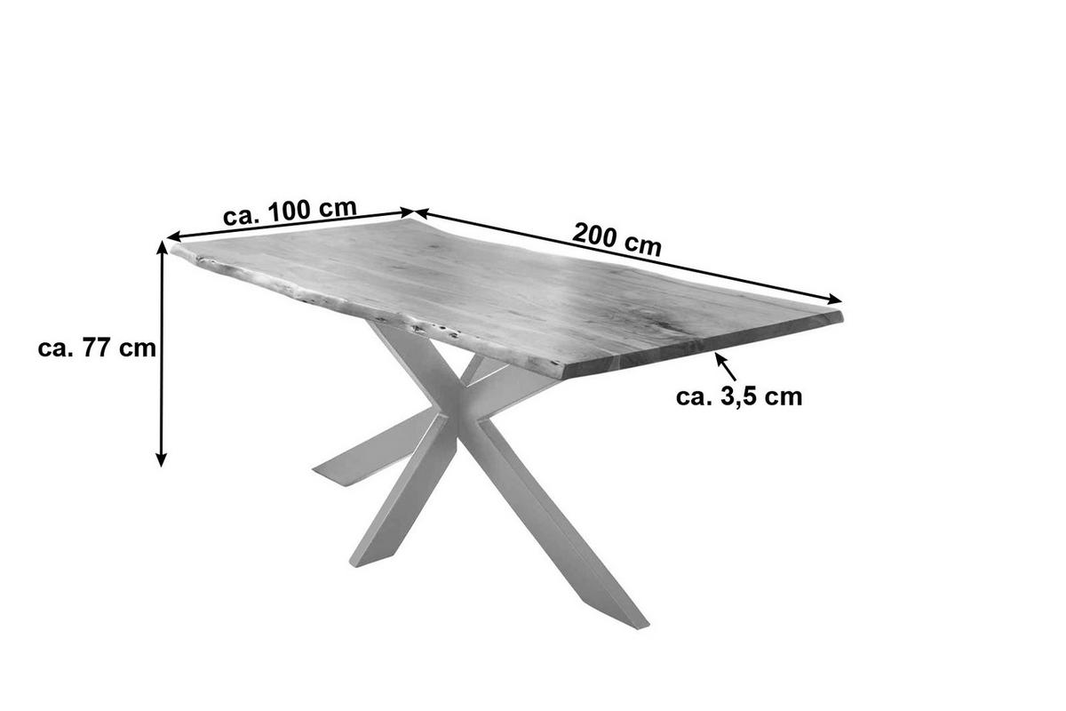 ESSTISCH TABEA - Beige/Silberfarben, Holz/Metall (100/200/77cm) - SAM