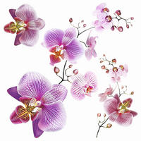 WANDTATTOO Blumen 30 x 30 cm - Pink, Papier (30/30/30cm) - Sanders & Sanders