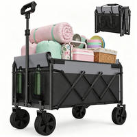 FALTWAGEN, klein-tragbar, 100kg Traglast, verstellbarer Griff, schwarz - Schwarz, Metall (18/34.5/44cm) - Vallsero