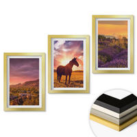 WANDBILDER 3er Set - 20x30 cm Goldrahmen - Berglandschaft mit einem Pferd - Goldfarben, Kunststoff (20/30cm) - ArtPrintCave