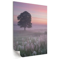 POSTER - 21x29 cm - Nevara - Ein Baum auf der Wiese - Pink, Textil (21/29.7/0.1cm) - TULUP