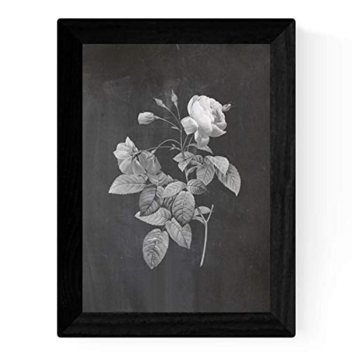 POSTER Set mit 4 Botanische Schwarz Hintergrund Rosa Blumen A3 Rahmenlos - Klar, Papier (29.7/3cm) - Nacnic