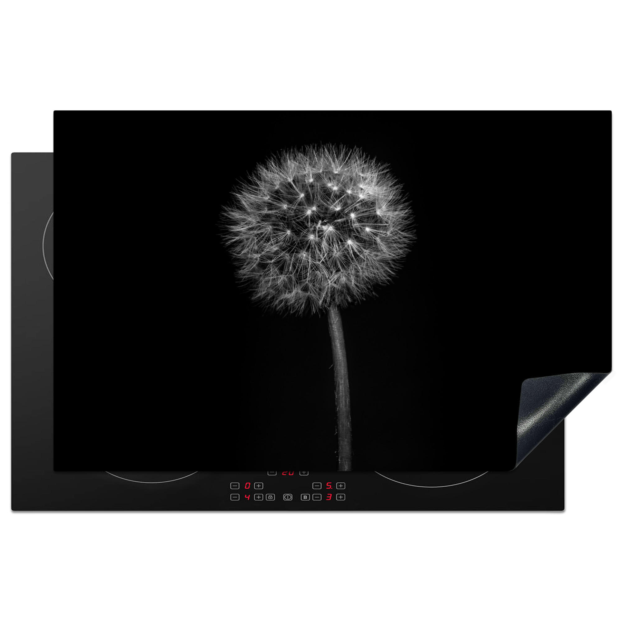 HERDABDECKPLATTE Löwenzahn - Schwarz - Floral - Botanisch 81x52 cm - Grau, Kunststoff (81/0.2/52cm) - MuchoWow