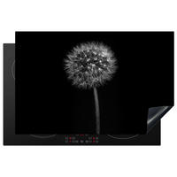 HERDABDECKPLATTE Löwenzahn - Schwarz - Floral - Botanisch 81x52 cm - Grau, Kunststoff (81/0.2/52cm) - MuchoWow