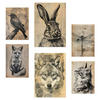 POSTER Set Mit 6 Vintage Tiere Vogel Hase Libelle Fuchs Wolf Katze A3 & A4 Rahmenlos - Klar, Papier (29/3cm) - Nacnic