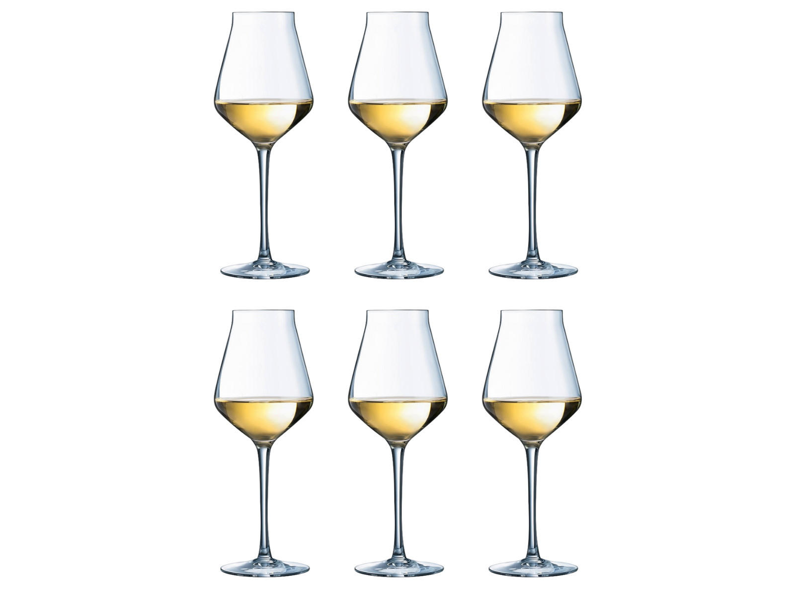 WEISSES WEINGLAS Weiße Weingläser Reveal Up 300 ml - 6 Stücke - Transparent, Glas (0.3L)