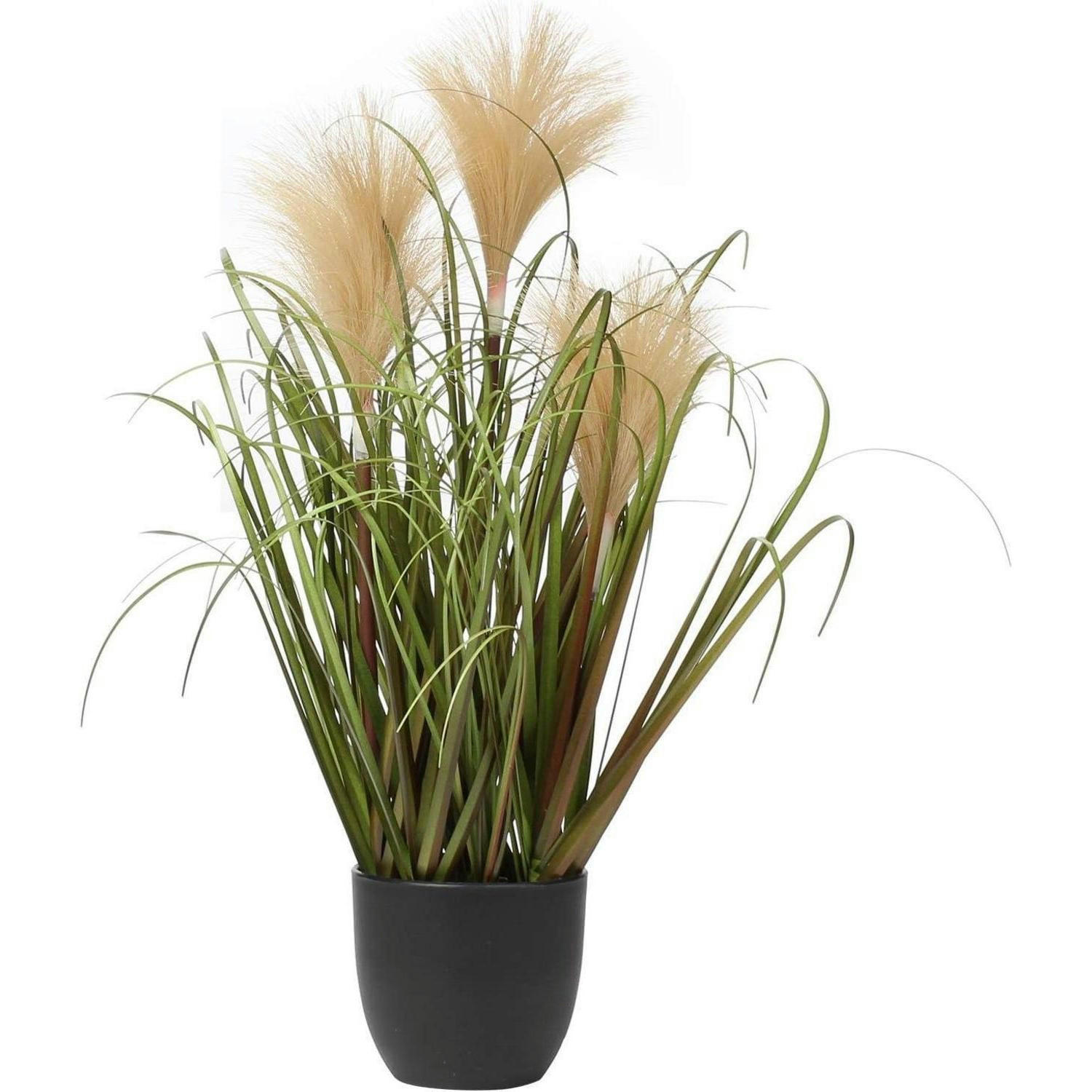 KUNSTPFLANZE Pampasgras im Topf Olive - Olivgrün, Kunststoff (43.9cm)