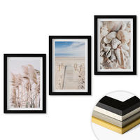 WANDBILDER 3er-Set - 20x30 cm Schwarzer Rahmen - Strandmuscheln Seegras - Schwarz, Kunststoff (20/30cm) - ArtPrintCave
