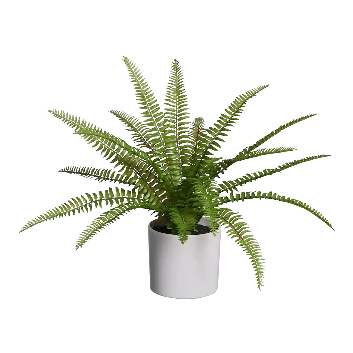 KUNSTPFLANZE Künstlicher Farn - Isa 35 cm - Grün, Kunststoff (35cm) - aplanta