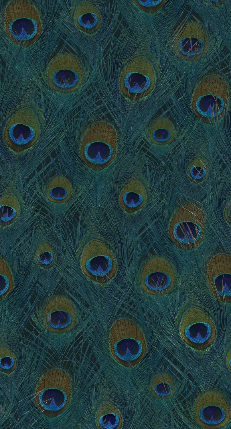 FOTOTAPETE Pfauenfedern 150 x 279 cm - Grün, Papier (150/279cm) - Origin Wallcoverings