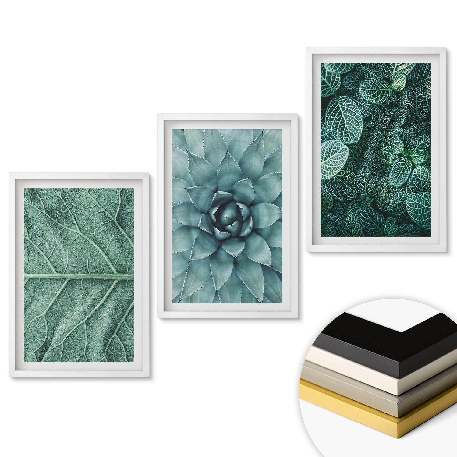 WANDBILDER 3er-Set - 40x60 cm Weißer Rahmen - Nahaufnahme von Pflanzenblättern - Weiß, Kunststoff (40/60cm) - ArtPrintCave