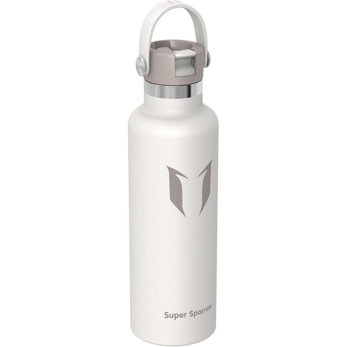 TRINKFLASCHE Edelstahl 750 ml Grau - Grau, Metall (7/7cm)