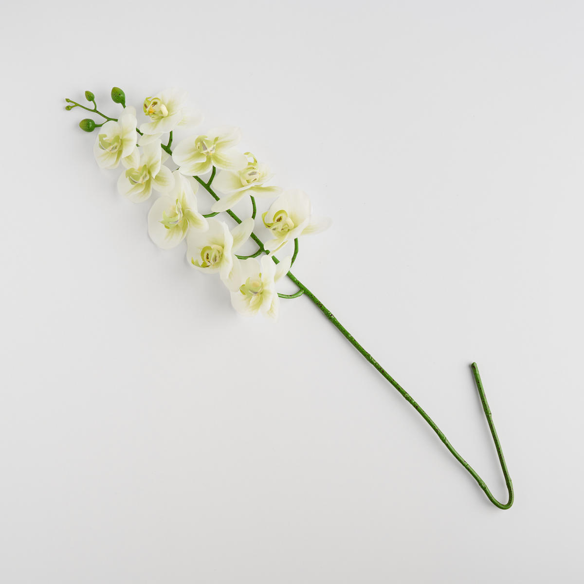 BLUME Orchstem - Weiß, Kunststoff (6cm) - home&you