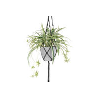 HÄNGEPFLANZE im Topf - Grün, Kunststoff (100cm)