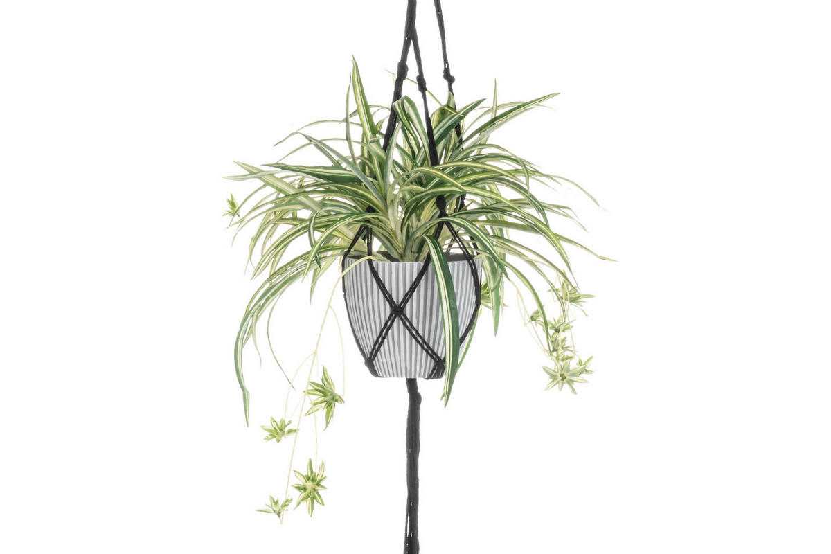 HÄNGEPFLANZE im Topf - Grün, Kunststoff (100cm)