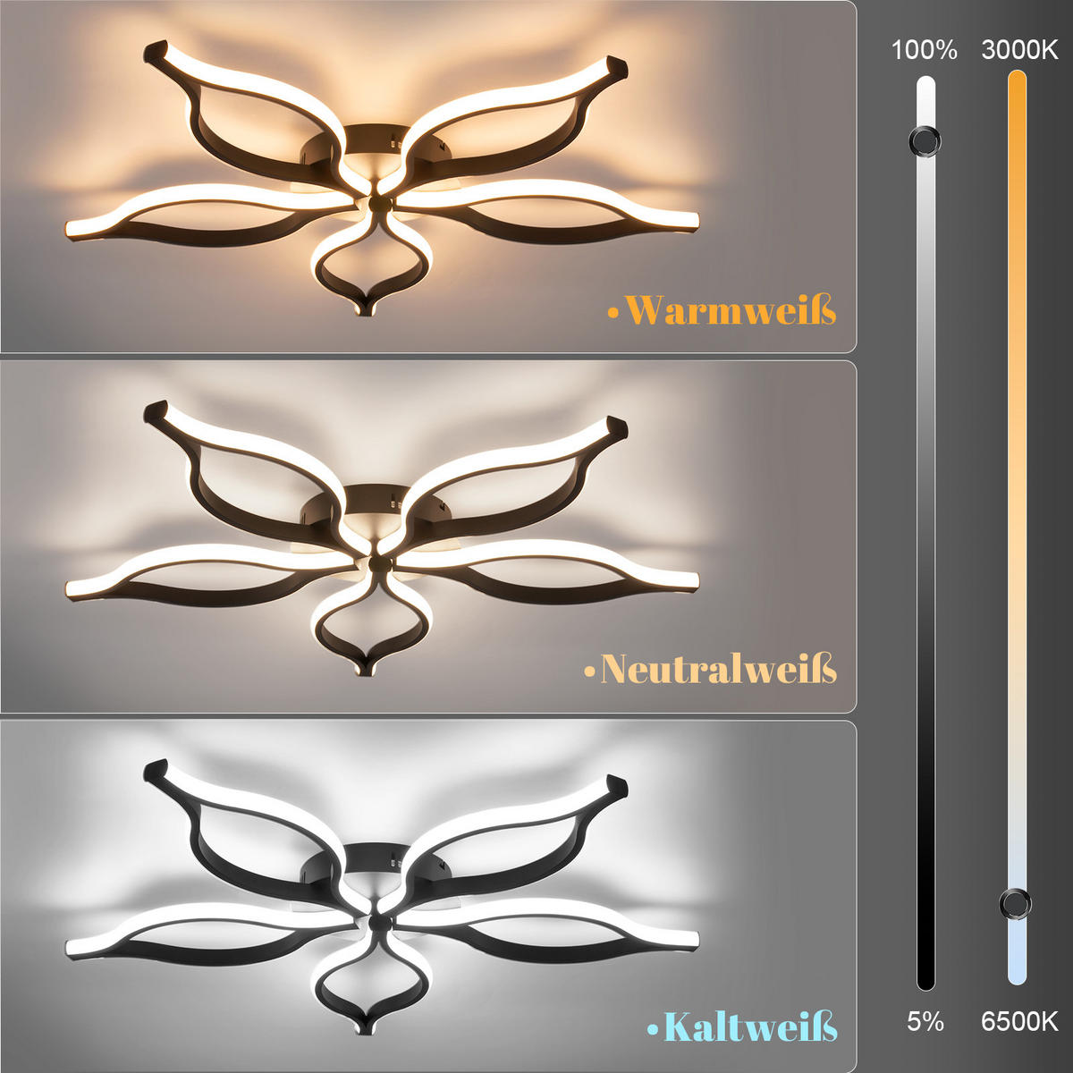 LED DECKENLEUCHTE Gelwynne 80/38/6 cm - Schwarz, Metall (80/38/6cm) - ZMH