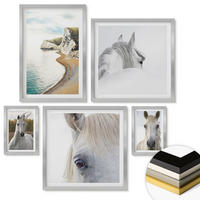 WANDBILDER 5er Set - 50x50 cm & 20x30 cm & 40x60 cm Silberner Rahmen - Kontrastierende abstrakte Porträts - Silberfarben, Kunststoff (40/60cm) - ArtPrintCave