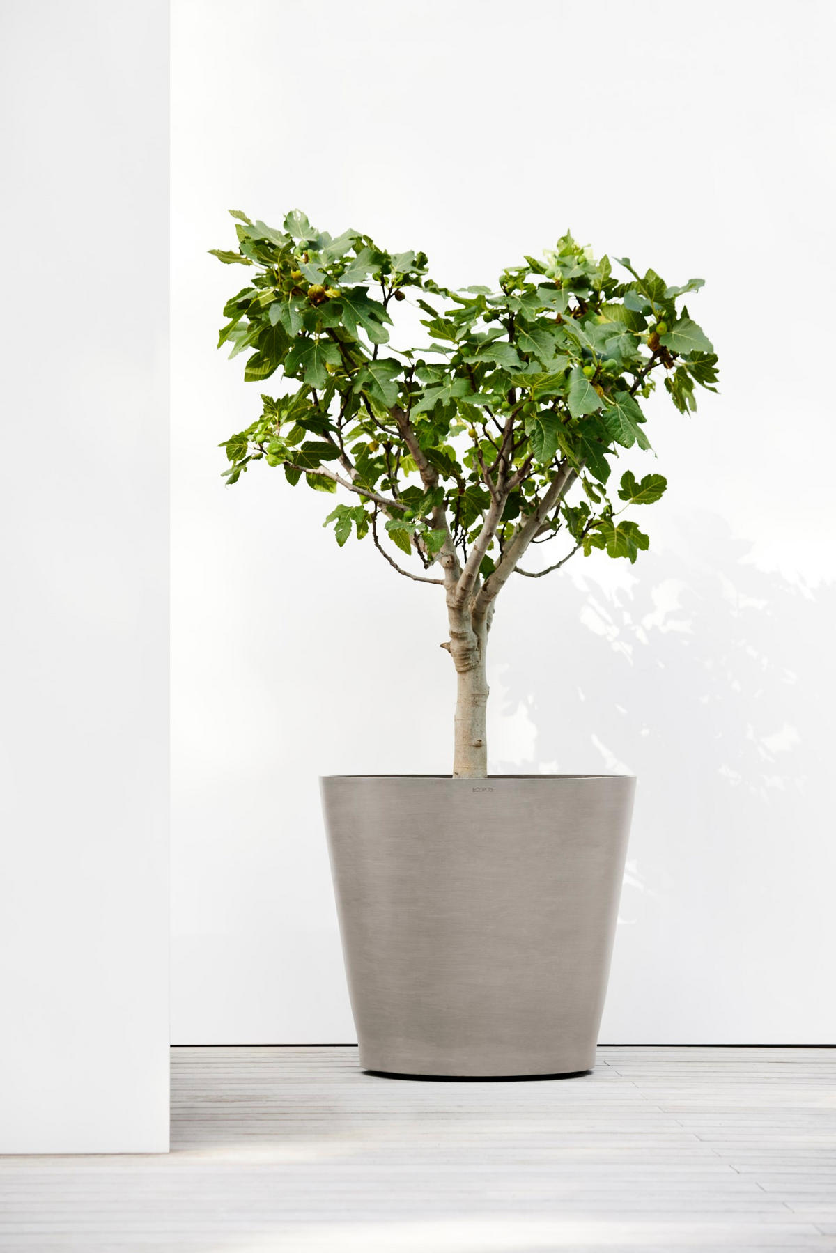 BLUMENTOPF Amsterdam Wheels 80/74,2 cm Taupe - Taupe, Kunststoff (80/74.2cm) - Ecopots