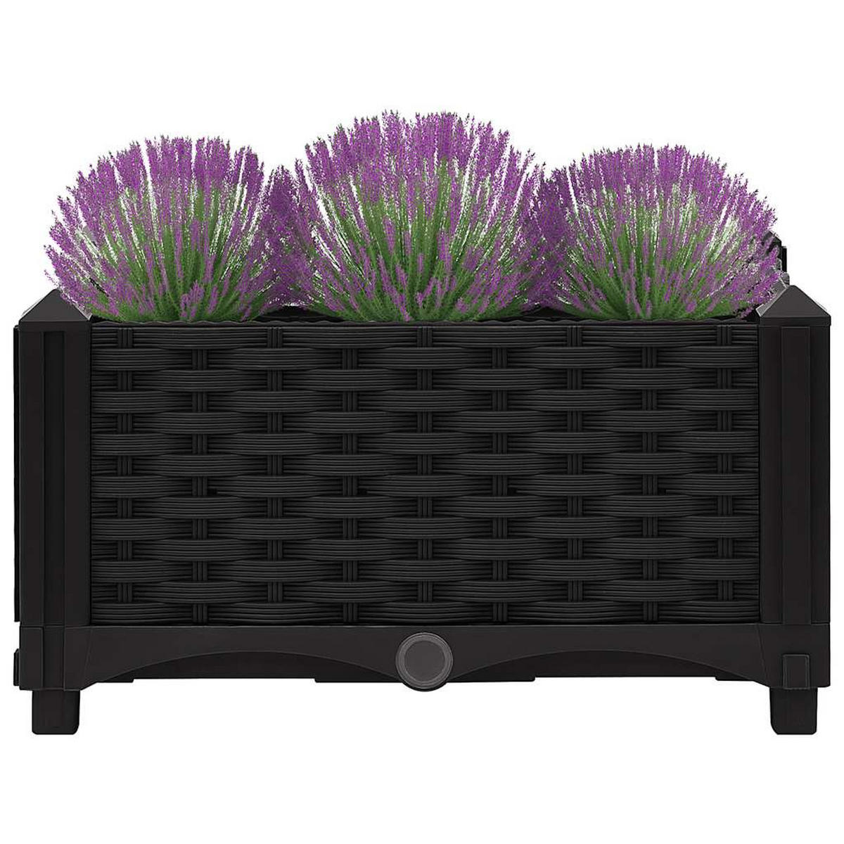 HOCHBEET 40x40x23 cm Polypropylen - Schwarz, Kunststoff (40/23/40cm)